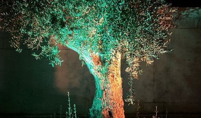 Installation domotique d'éclairage extérieur de maison connectée à Bordeaux
