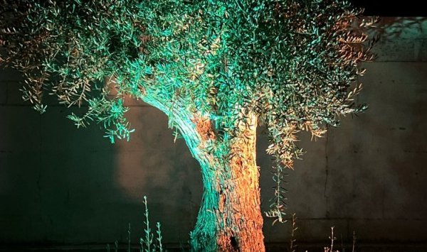 Installation domotique d'éclairage extérieur de maison connectée à Bordeaux